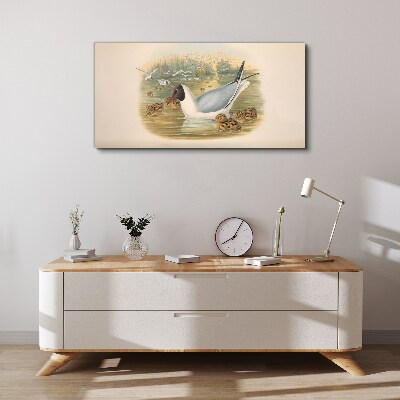 Seagull with young in the water Canvas print