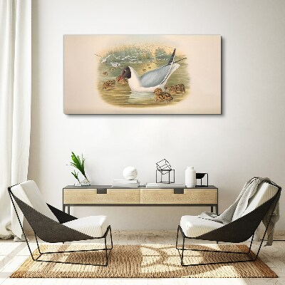 Seagull with young in the water Canvas print