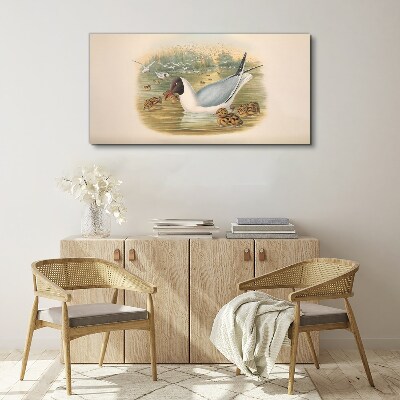 Seagull with young in the water Canvas print