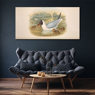 Seagull with young in the water Canvas print