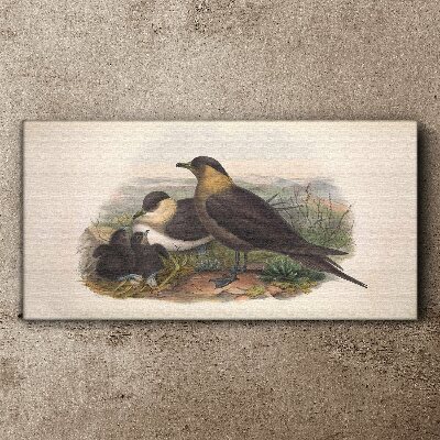 Family of birds on the nest Canvas print