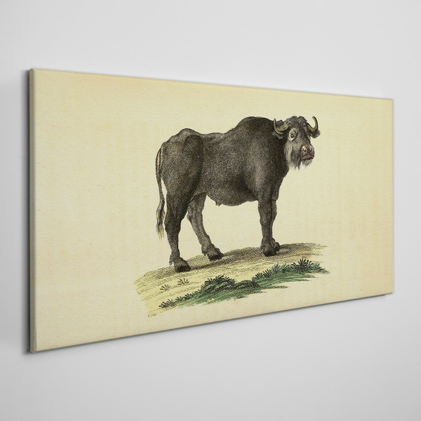 Buffalo on a natural background Canvas print