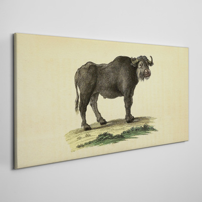 Buffalo on a natural background Canvas print
