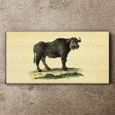 Buffalo on a natural background Canvas print