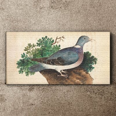 A dove against a green background Canvas print