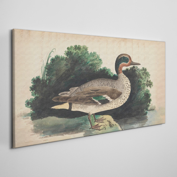 A duck surrounded by greenery Canvas print