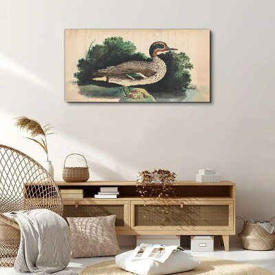 A duck surrounded by greenery Canvas print