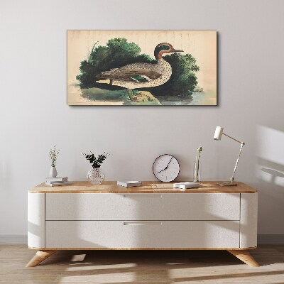 A duck surrounded by greenery Canvas print