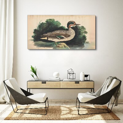 A duck surrounded by greenery Canvas print