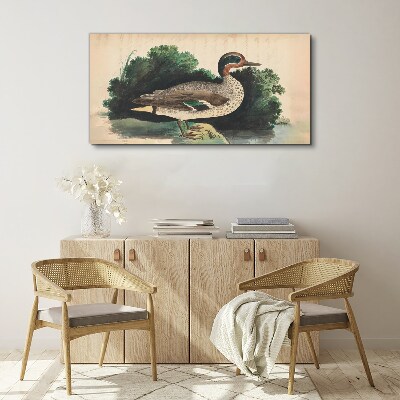 A duck surrounded by greenery Canvas print