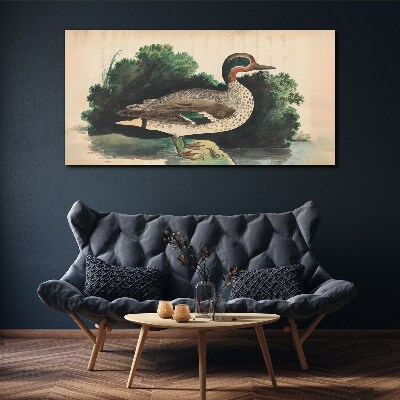 A duck surrounded by greenery Canvas print