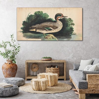 A duck surrounded by greenery Canvas print