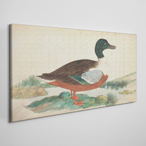 Duck against the green background Canvas print