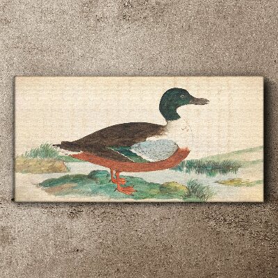 Duck against the green background Canvas print
