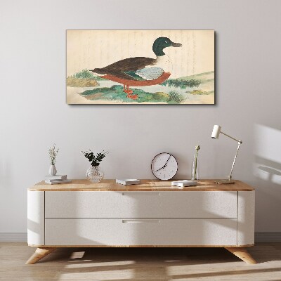 Duck against the green background Canvas print