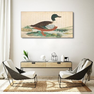 Duck against the green background Canvas print