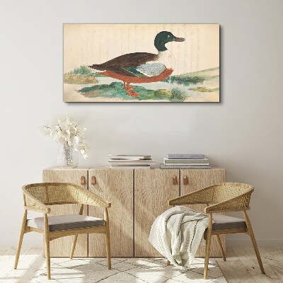 Duck against the green background Canvas print