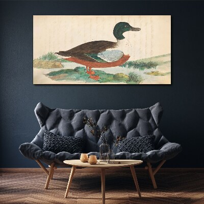 Duck against the green background Canvas print