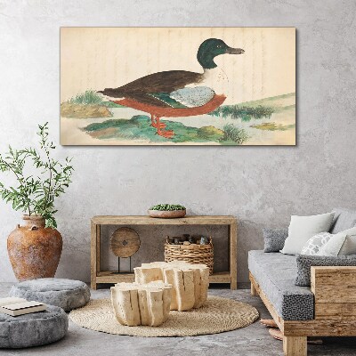 Duck against the green background Canvas print
