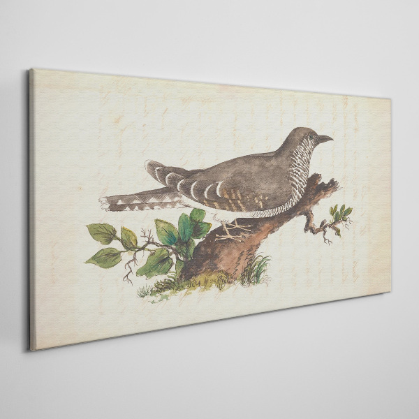 Cuckoo on a branch Canvas print