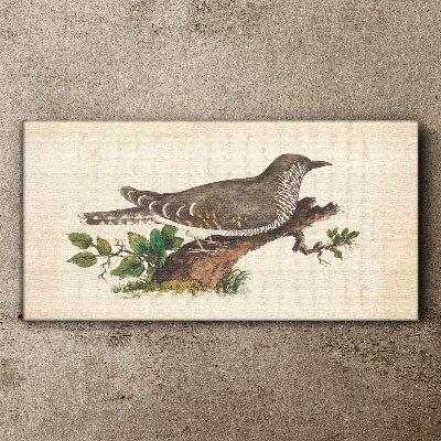 Cuckoo on a branch Canvas print