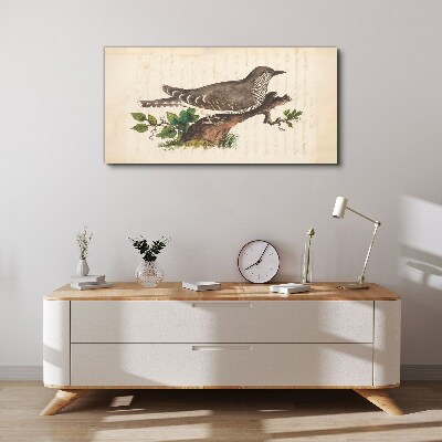 Cuckoo on a branch Canvas print