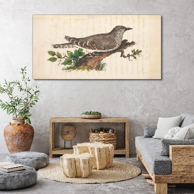 Cuckoo on a branch Canvas print
