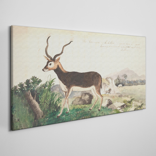 Antelope in the background of the landscape Canvas print