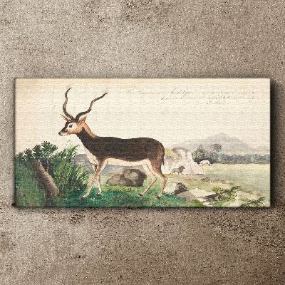 Antelope in the background of the landscape Canvas print