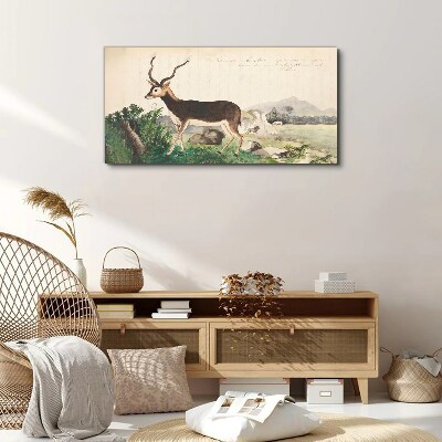 Antelope in the background of the landscape Canvas print