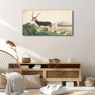 Gazelle drawing animals Canvas print
