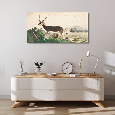 Antelope in the background of the landscape Canvas print