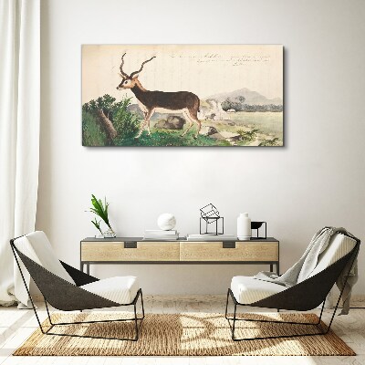 Antelope in the background of the landscape Canvas print