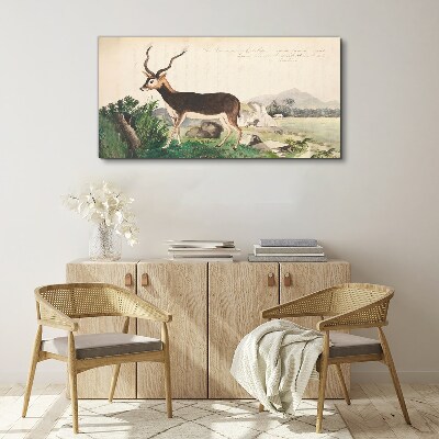 Antelope in the background of the landscape Canvas print