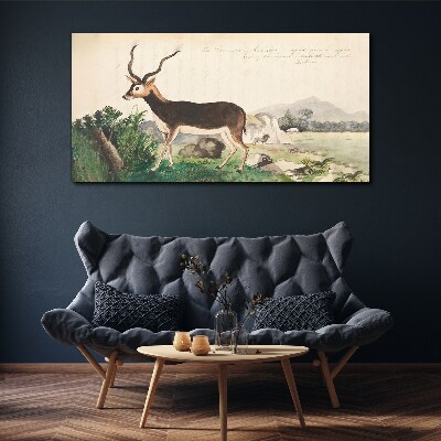 Antelope in the background of the landscape Canvas print
