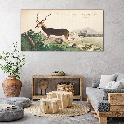 Gazelle drawing animals Canvas print