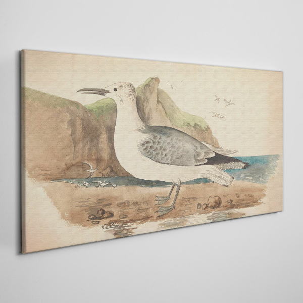 Seabird on the beach Canvas print