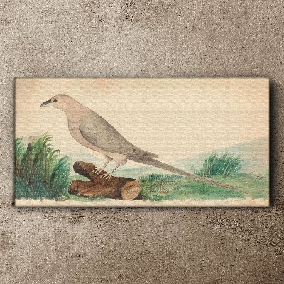 A bird in the background of nature Canvas print