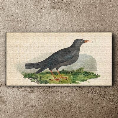 Bird on a green background Canvas print