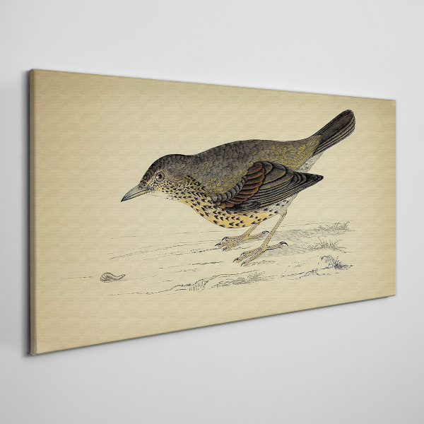 Bird on a beige background Canvas print