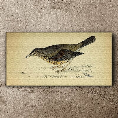 Bird on a beige background Canvas print