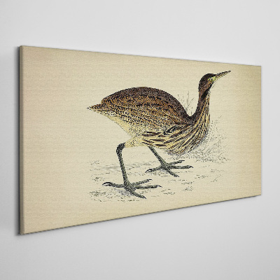 Bird pattern on nature background Canvas print