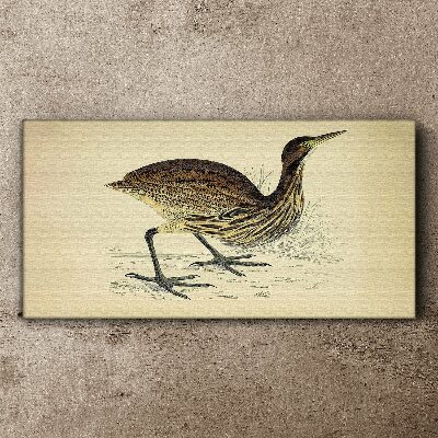 Bird pattern on nature background Canvas print