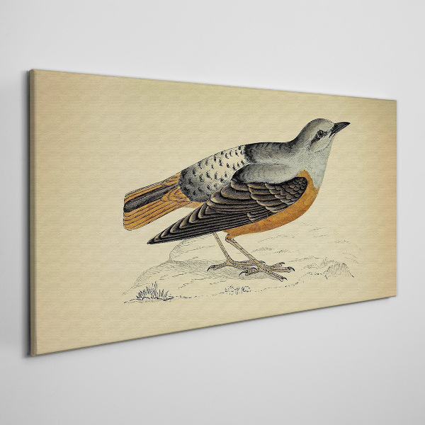 Bird in pastel shades Canvas print