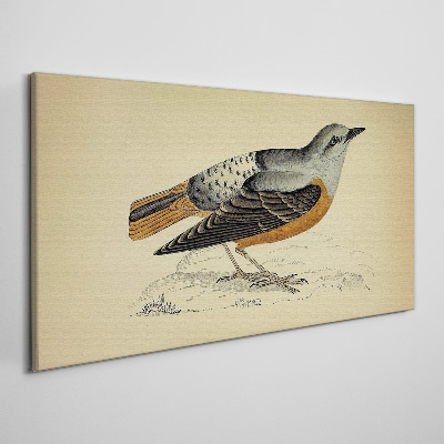 Bird in pastel shades Canvas print