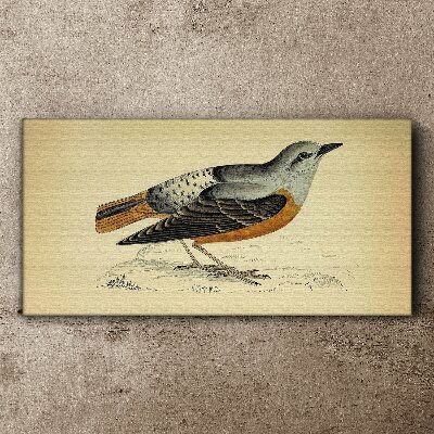 Bird in pastel shades Canvas print