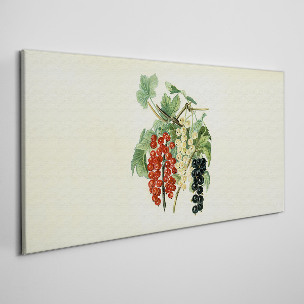 Fruit bouquet with currants Canvas Wall art