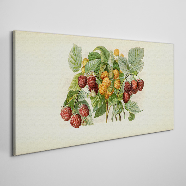 Fruity bouquet of raspberries and blackberries Canvas Wall art