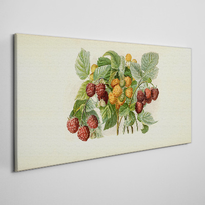Fruit berries Canvas Wall art