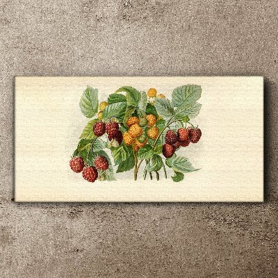 Fruity bouquet of raspberries and blackberries Canvas Wall art